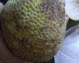 A picture of step 1 of Bread fruit masala curry kada chakka masala curry.