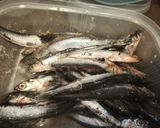 Foto del paso 1 de la receta: Pescaditos