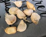 Une image de l'étape 6 de Éventail d'aubergine au jambon tomate et mozzarella.