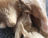 Foto del paso 3 de la receta Alcachofas con setas y pollo