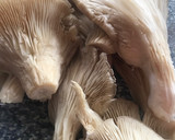 Foto del paso 3 de la receta: Alcachofas con setas y pollo