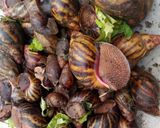 A picture of step 1 of Peppered snail.