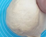 Foto langkah ke 1 dari resep Roti Mantau (frozen).