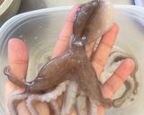 Foto del paso 1 de la receta: Pulpo a la gallega🐙🐙