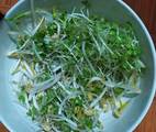 Hình ảnh bước 1 Salad Rau Mầm Đậu Phụ