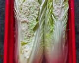 Foto langkah ke 1 dari resep Kimchi.