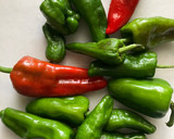 Foto del paso 1 de la receta: Pimientos de Padrón a las hierbas, en airfryer