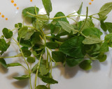 Foto del paso 6 de la receta: Espaguetis de huevo con boloñesa mixta