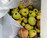 Une image de l'étape 1 de La compote du goûter 🍏🍏.