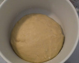 Foto del paso 3 de la receta: Pan dulce navideño