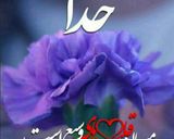 عکس مرحله 10 از دستور خوراک بادمجان۲