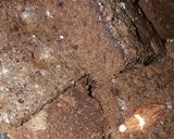 Foto del paso 8 de la receta: Brownie (con cacao)
