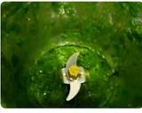 Tricolour Biryani recipe step 2 photo