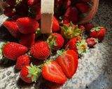 Une image de l'étape 1 de 🍹Milkshake fraises 🍓 yaourt 🍶fermier 🧑‍🌾.