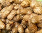Foto langkah ke 3 dari resep Kacang Rebus (Empuk, Gurih dan Hemat Gas).