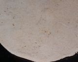 A picture of step 4 of Masala parantha.