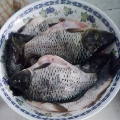 Langkah 1