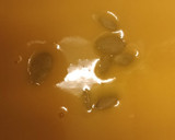Foto del paso 6 de la receta: Sopa crema de zapallo cabutia