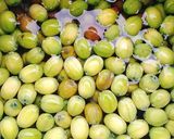 Hình bước làm 1 của món Hạt sen xóc muối