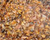 Foto del paso 10 de la receta 215. Saquitos de Champiñones, Puerro y Jamón Cocido