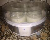 Foto del paso 5 de la receta: Yogur Natural Casero