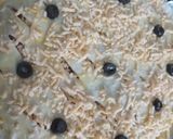 A picture of step 4 of Fajita pie.