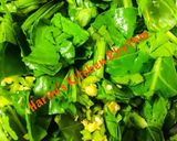A picture of step 2 of Palak pakodi/ crispy palak fritters.