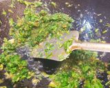પનીર શેશલીક સીઝલર વીથ મખની સોસ (sizzler recipe in Gujarati) રેસીપી સ્ટેપ6ફોટો