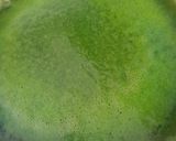 Foto langkah ke 2 dari resep Sirup pandan (coffee pandan).