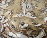 Foto del paso 4 de la receta: Portobello al vino