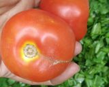 A picture of step 7 of Palak dal.
