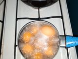 ممو في حجر امو