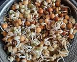 Sprouted Multi Pulse Flour recipe step 3 photo