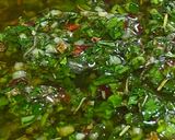 Foto del paso 3 de la receta: Chimichurri