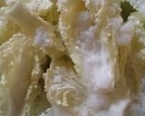 Foto langkah ke 1 dari resep Kimchi Kampung.