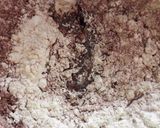 Foto del paso 1 de la receta: Galletitas de chocolate glaseadas 😋