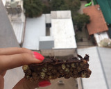 Foto del paso 4 de la receta: Barritas de cereal SALUDABLES - quinoa maní y miel!!!