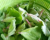 Foto langkah ke 1 dari resep Sayur Bangun2....