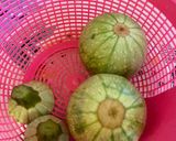 Foto del paso 12 de la receta: Calabacitas con queso