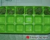 Fresh herbs cubes recipe step 3 photo