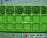 A picture of step 3 of Fresh herbs cubes.
