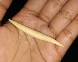 Cendol Keju/Gabus Keju/sebutan lainnya:) - Step 3