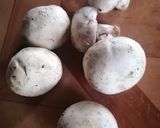 Foto del paso 1 de la receta: Crema de champiñones