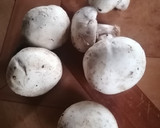 Foto del paso 1 de la receta: Crema de champiñones