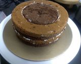 A picture of step 18 of Chocolate mousse checker board cake.