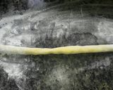 Foto del paso 6 de la receta: Pepas fáciles