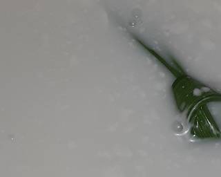 Cendol dawet home made - Step 4