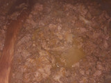 Morrones rellenos en estofado con papas