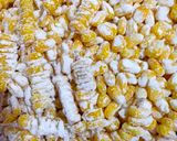 फ्राइड बरबेक्यू स्वीटकॉर्न (Fried barbecue sweet corn recipe in Hindi) रेसिपी चरण 2 फोटो