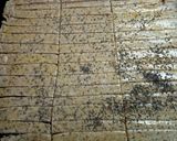 Foto del paso 4 de la receta: Talitas integrales, queso y semillas